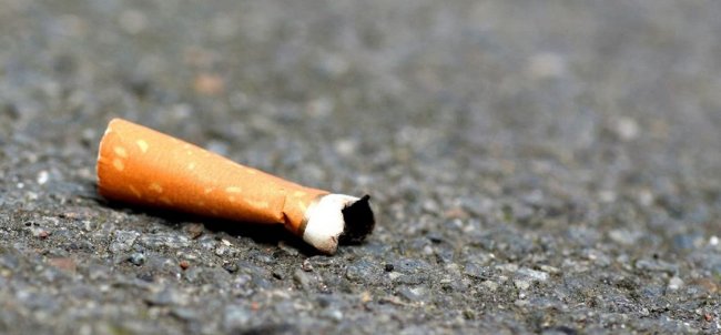 В Ленинградской области закрылись три табачных завода - «Экономика»