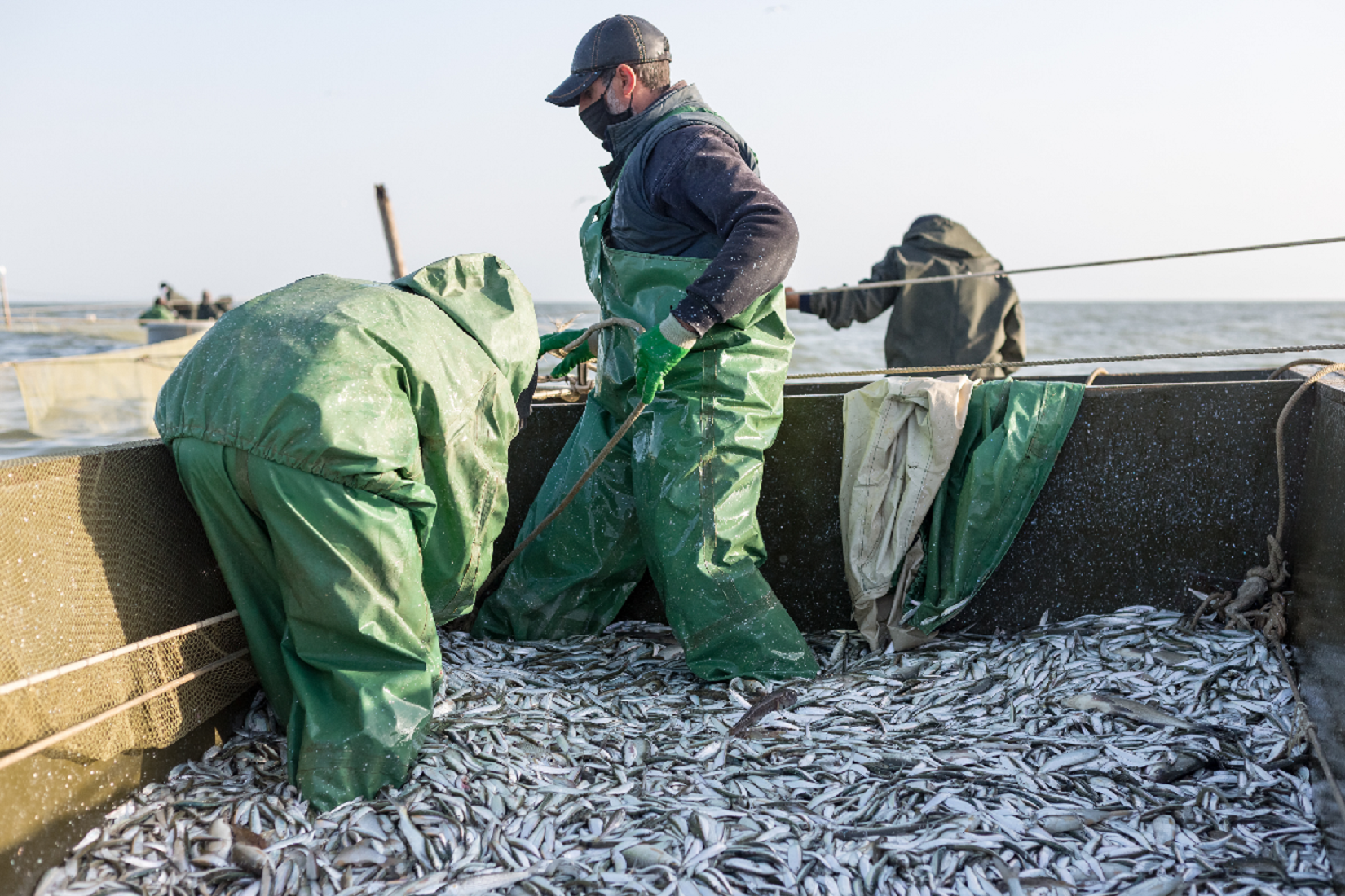 Каспийское море промысел